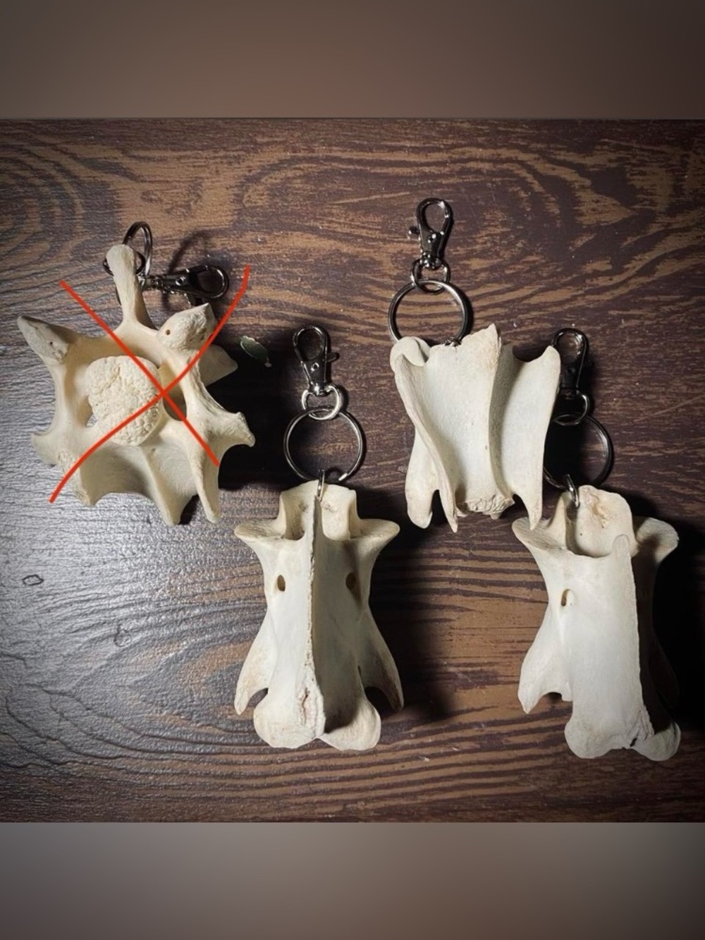 Deer Vertebrae Keychain
